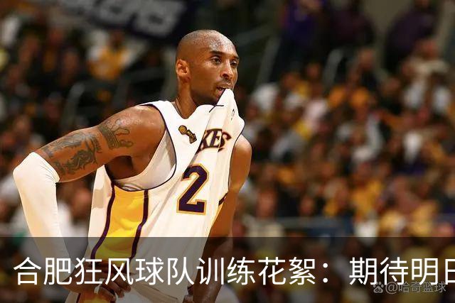 合肥狂风球队训练花絮：期待明日的精彩